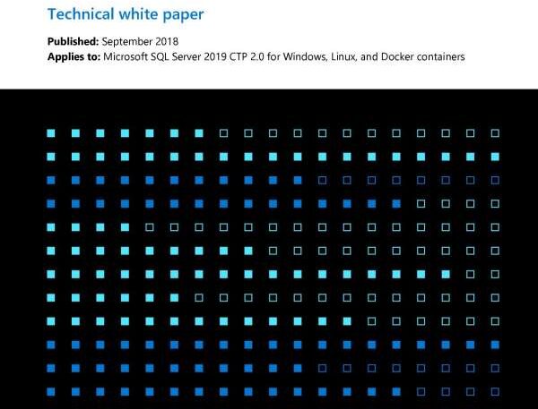 microsoft sql server white paper